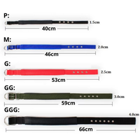 Coleira Ajustável de Nylon para Cães