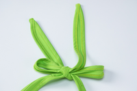 Conjunto Feminino Slim Set