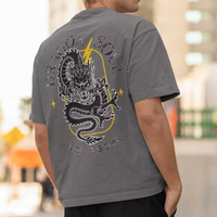 Camiseta Dragon Soul