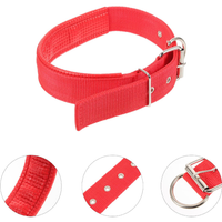 Coleira Ajustável de Nylon para Cães